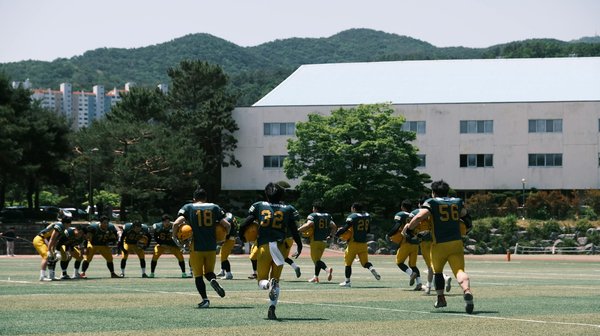 Unverzichtbare nachhaltige Ideen für Ihr Zuhause: So setzen Sie auf Umweltschutz